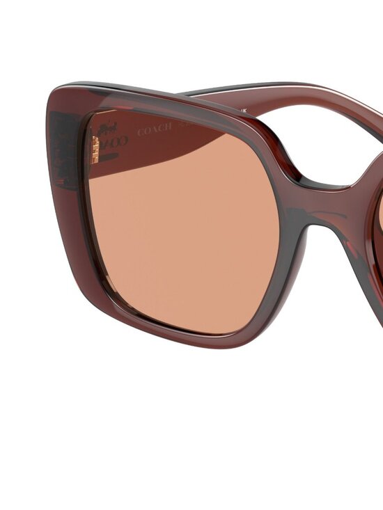 NEW Coach HC8386U CL907 Sunglasses Transparent Caramel Pink Lens main image 6